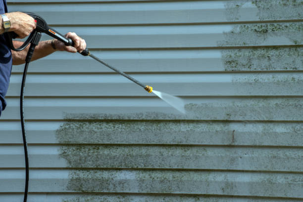 Best Affordable Power Washing  in Plafield, IN